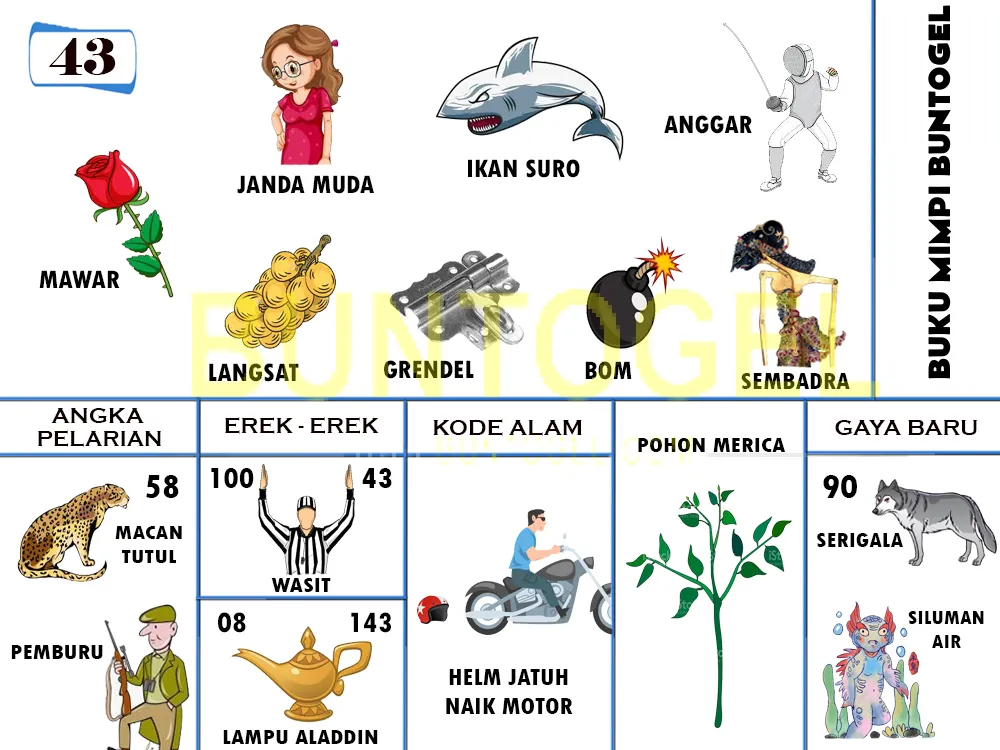 buku mimpi erek erek togel 43