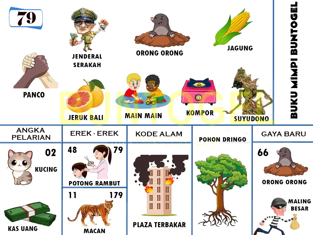 buku mimpi erek erek togel 79